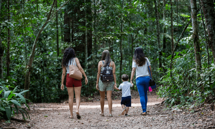 Três mulheres e um menino estão caminhando por um ambiente repleto de árvores. Todos estão de costas para foto.