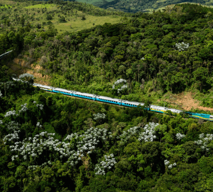 Foto tirada de cima do trem de passageiros da Vale passando por trilhos em meio à uma região cheia de árvores.