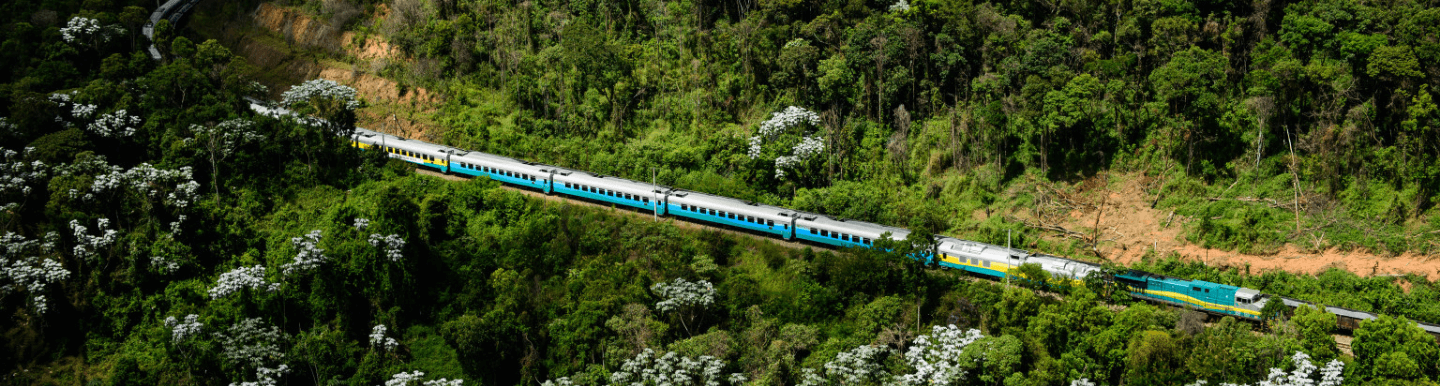 Foto tirada de cima do trem de passageiros da Vale passando por trilhos em meio à uma região cheia de árvores.