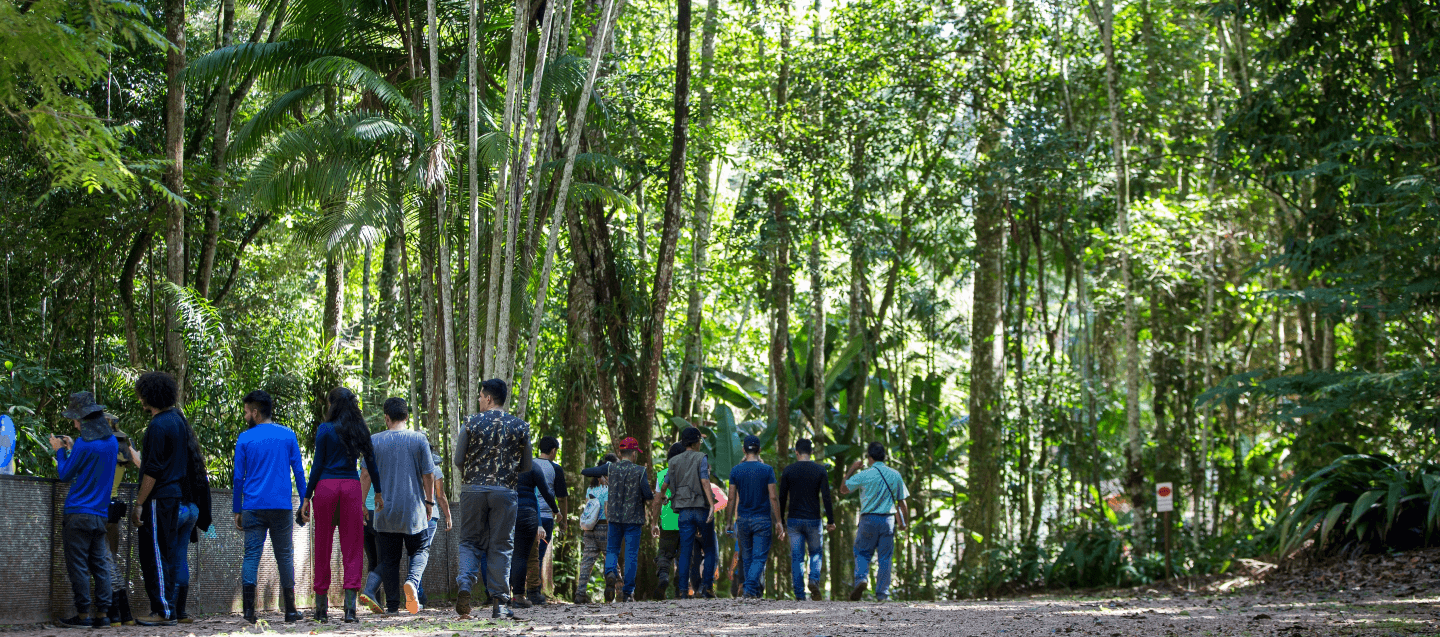A large number of children walk through a place surrounded by trees.