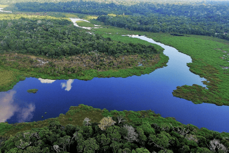 Imagem aérea de um rio com vegetação em volta
