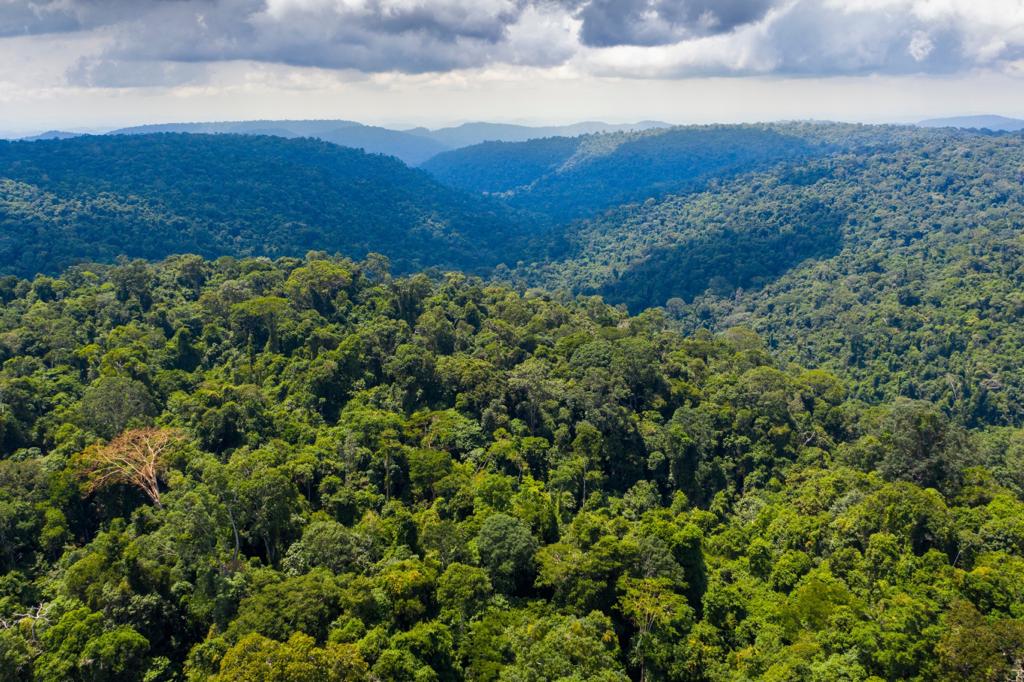 Floresta Nacional de Carajás Pará