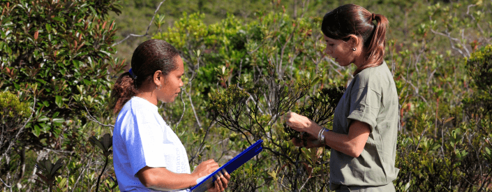 In a vegetation area,, two women are face to face talking, one of them is holding a clipboard in her hands, and the other is fiddling with a tree.