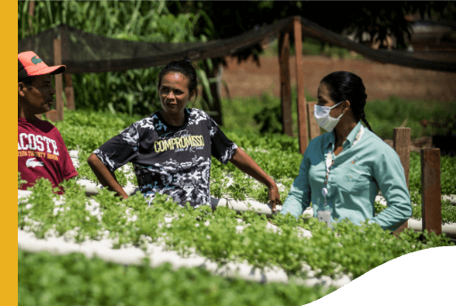 In the middle of a vegetable garden, Vale female employee is talking to a man and a woman. The female employee is wearing a protective face mask.