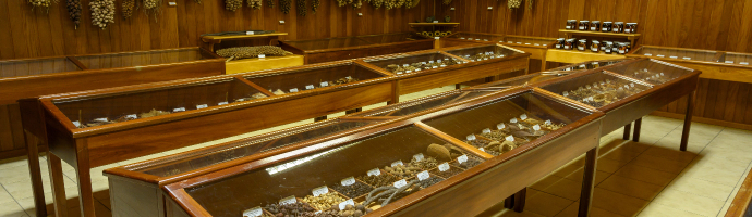 Em uma sala revestida de madeira, há diversas “mesas”, cobertas com vidros, expondo vários tipos de frutos.