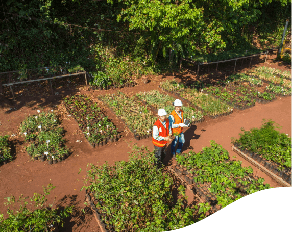 Foto de dois homens em uma horta. Cada um está segurando uma muda de planta. Os dois estão usando camisa verde Vale, colete laranja, capacete e calça jeans