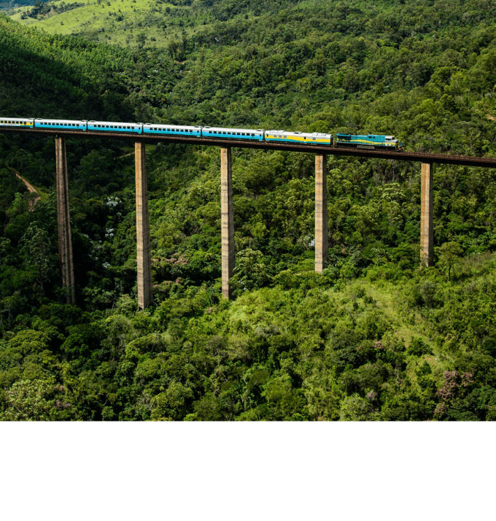 Photo taken from the top of Vale passenger train passing on tracks in the middle of a region full of trees.