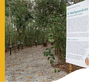 Em um caminho arborizado, com chão repleto de folhas, há uma placa com informações sobre o Melipolinário.