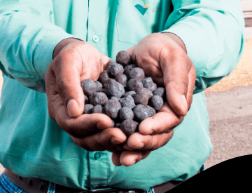 Photo of the hands of a man wearing a green shirt and holding ore pellets.