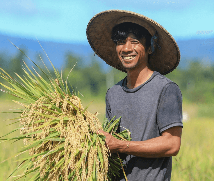 Man wearing straw hat smiles in wheat plantation.