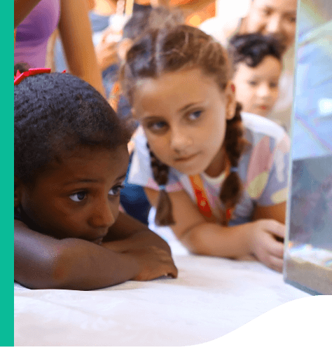 Photo of two children looking at an aquarium. One of them is black, with hair tied back, a red bow and her face resting on her arms. The other child is white and has a braid and a patterned shirt.