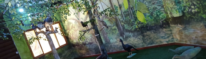 Em uma sala com as paredes revestidas com ilustrações de árvores, há algumas árvores artificiais e esculturas de pássaros, tanto nas árvores quanto no chão.