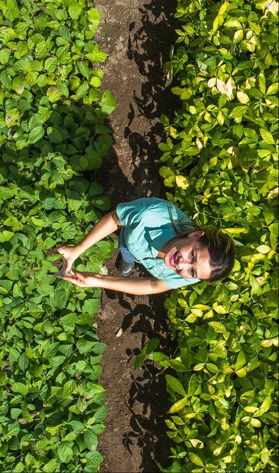 A photo of a woman smiling taken from top down in the middle of a plantation space. She is wearing a light green shirt.