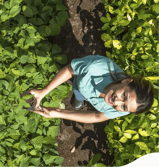 Aerial image of a Vale employee in the middle of a plantation. The ground is dirt and she looks up and smiles, while holding a seedling.