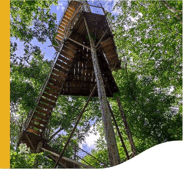 Torre de observação, vista de baixo para cima. A estrutura é alta e feita de madeira.