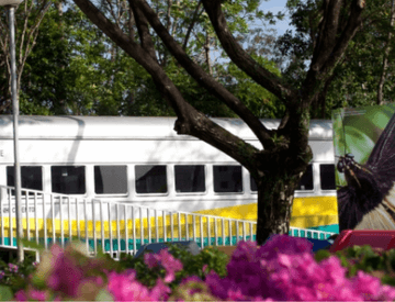 Área externa florida, com um vagão de trem estacionado ao fundo. É possível ver um cartaz com o desenho de uma borboleta e algumas árvore, principalmente ao fundo.