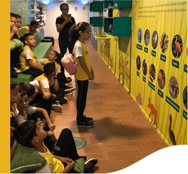 Diversas crianças observam um painel com informações sobre aves. Todas usam uniforme escolar.